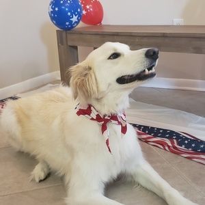 Meet your Posher, Britian